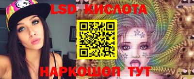 apvp Краснодар