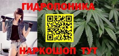 apvp Краснодар