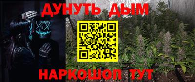 прущие грибы Краснокаменск
